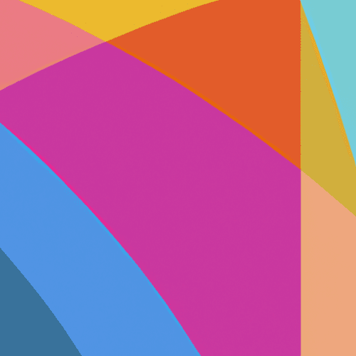 Pourquoi la traduction politique exige plus qu'une simple traduction de document ?